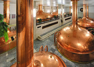 Kniha “CESKE BUDEJOVICE - Libor Svacek" - vydani 1., rok 2012 Photographer: Libor Svacek; box@fotosvacek.cz; Mobile: +420 602428001; 