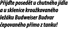 P ij te posed t u chutn ho j dla a u sklenice krou kovan ho le ku Budweiser Budvar  epovan ho p  mo z tanku! 
