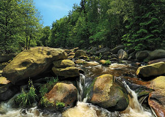 Kniha “VLTAVA - Libor Svacek" - vydani 1., rok 2011 Photographer: Libor Svacek; box@fotosvacek.cz; Mobile: +420 602428001; 