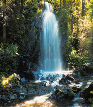 Fotografoval: Libor Svacek, Kaplicka 447, Cesky Krumlov, 381 01 CZ