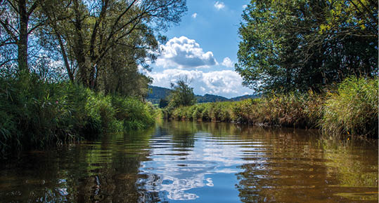 Mal e is a river in Austria and in the Czech Republic, and a right tributary of the Vltava.