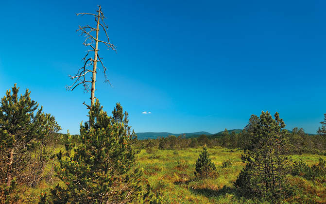 Kniha “VLTAVA - Libor Svacek" - vydani 1., rok 2011 Photographer: Libor Svacek; box@fotosvacek.cz; Mobile: +420 602428001; 