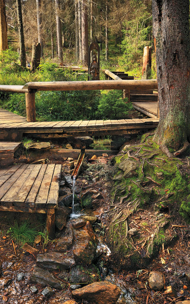 Kniha “VLTAVA - Libor Svacek" - vydani 1., rok 2011 Photographer: Libor Svacek; box@fotosvacek.cz; Mobile: +420 602428001; 