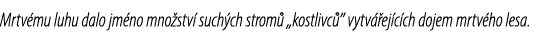 Mrtv mu luhu dalo jm no mno stv such ch strom  „kostlivc ” vytv  ej c ch dojem mrtv ho lesa.
