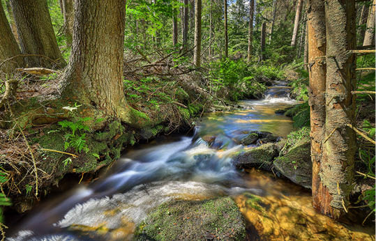 Kniha “ esk republika 2020 - Libor Sv  ek" - vyd n  1., rok 2020