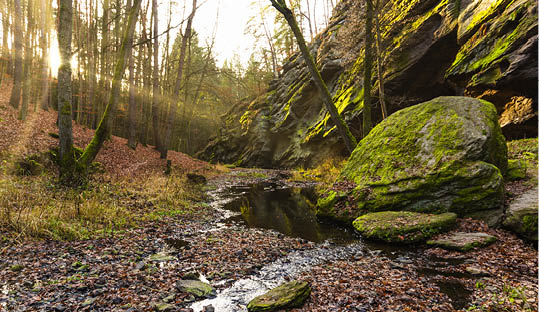 Zidova strouha - stream near Bechyne in Czech Republic.