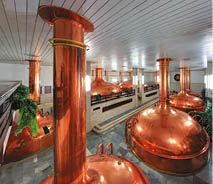 Kniha “CESKE BUDEJOVICE - Libor Svacek" - vydani 1., rok 2012 Photographer: Libor Svacek; box@fotosvacek.cz; Mobile: +420 602428001; 