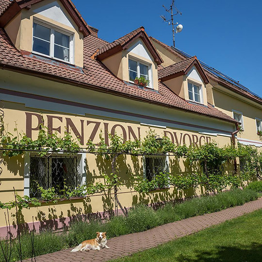 Penzion a restaurace Dvorce Třeboň