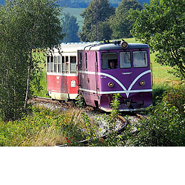 Narrow-gauge Railway