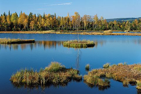 Chalupská slať (peat bog), source: Libor Sváček archiv Vydavatelství MCU