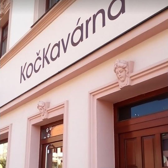 Kočkavárna