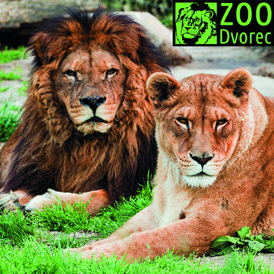 ZOO Dvorec u Borovan